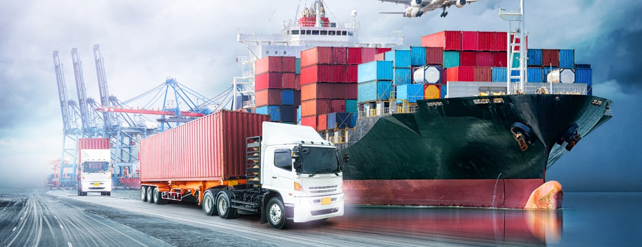 eCommerce Logistics, dash101, ecommerce business
