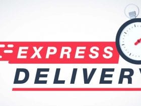 standard shipping vs express shipping