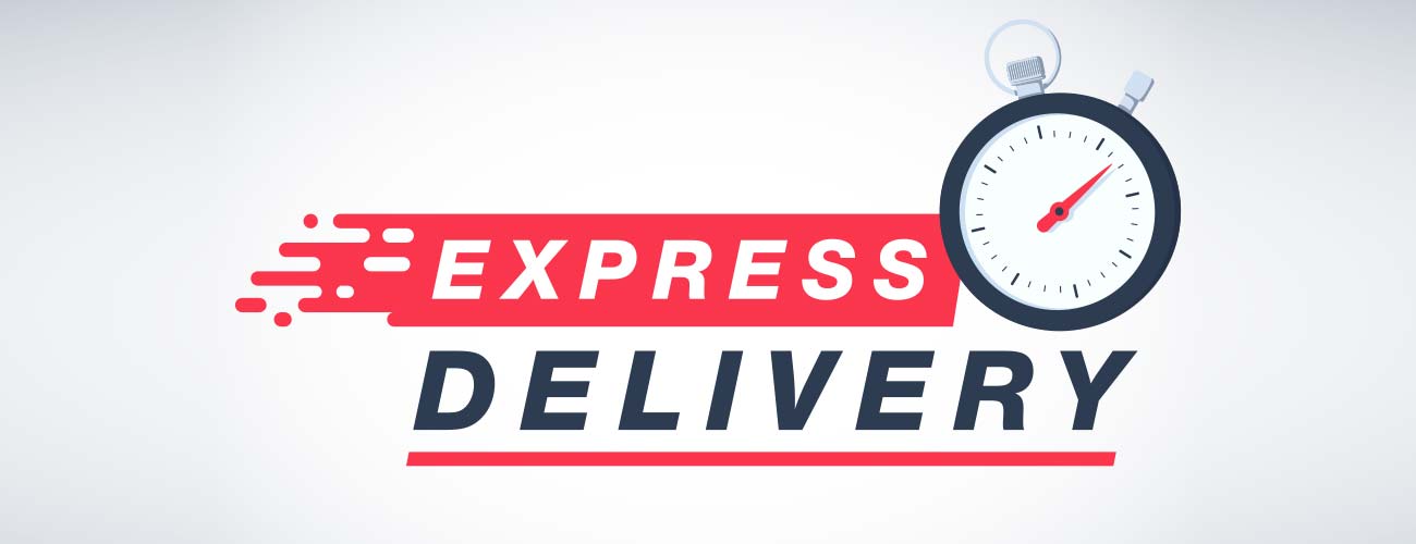 standard shipping vs express shipping